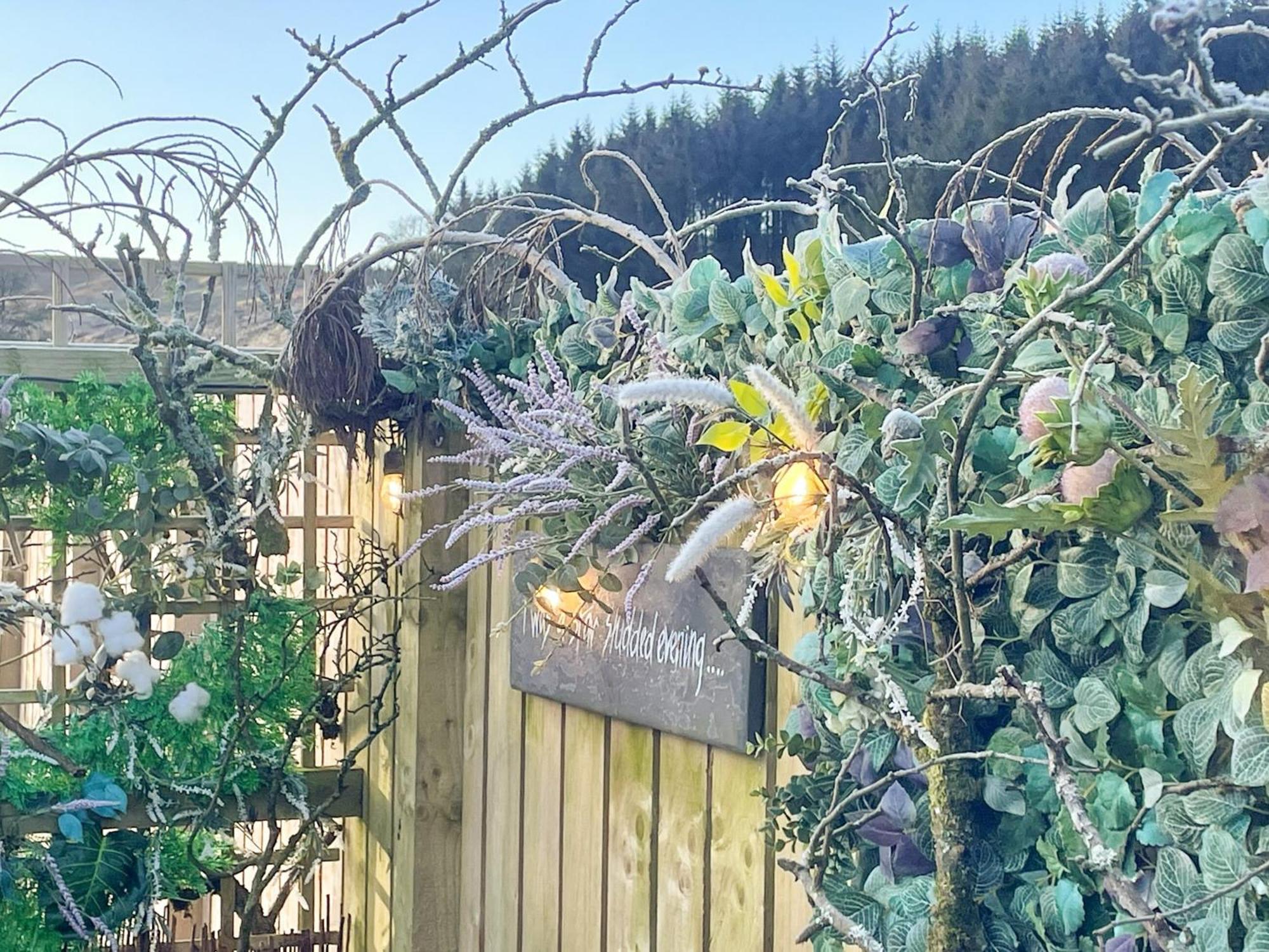 Mossdale Cottage Dalmellington المظهر الخارجي الصورة